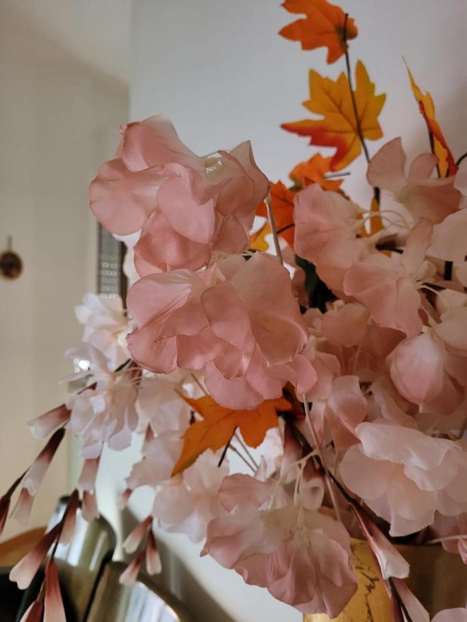 La Maison De Rose Turi Bagian luar foto